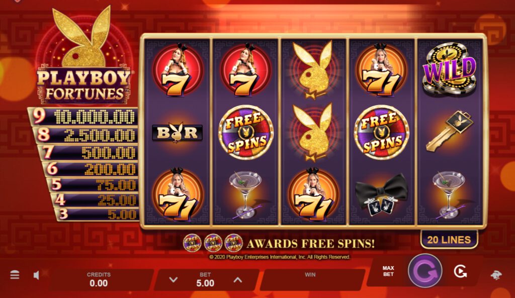 สรุปเกม Microgaming : เพลย์บอย ฟอร์จูน