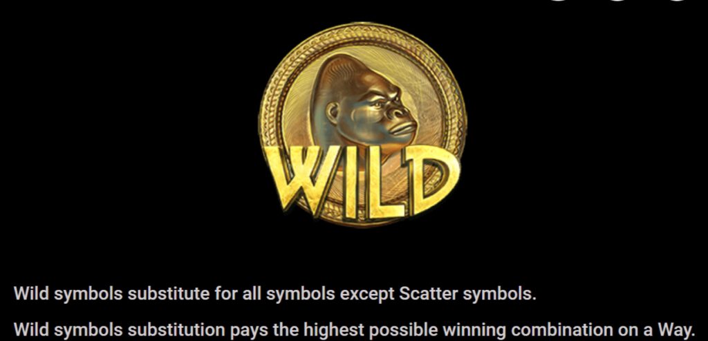 ฟีเจอร์พิเศษพิชิตโบนัสเกม Microgaming ซิลเวอร์แบล็ค มัลติไพเออร์ เม้าเท้น