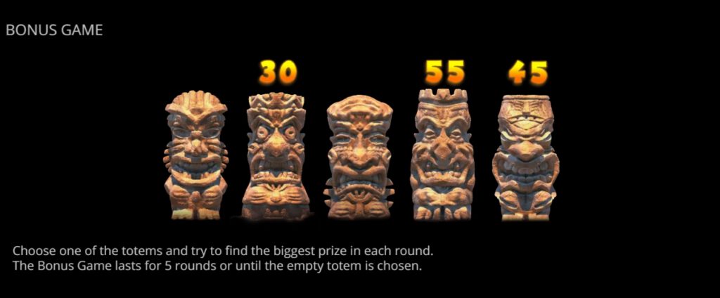 ฟีเจอร์พิเศษพิชิตโบนัสเกม โรบินสัน