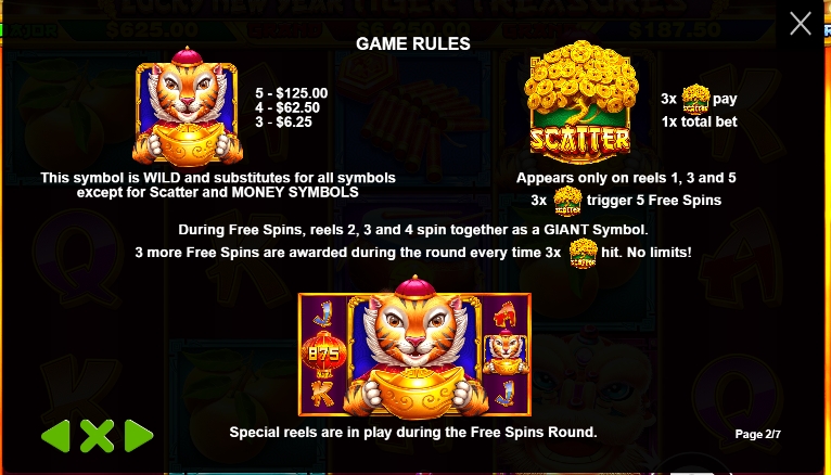 ฟีเจอร์พิเศษของเกมสล็อต PP Lucky New Year – Tiger Treasures