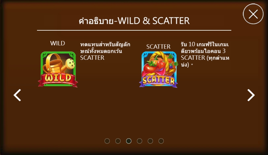 ฟีเจอร์พิเศษพิชิตโบนัสเกม ฟาร์ม แฟมมิลี่
