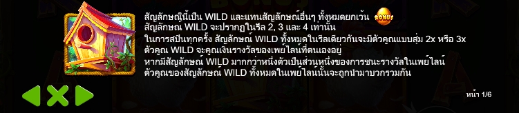 กฎระเบียบเกม PP SLOT The Tweety House
