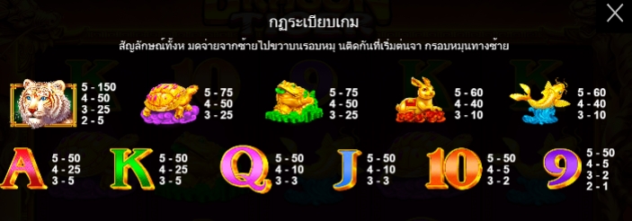กฎระเบียบเกม PP SLOT Dragon Tiger