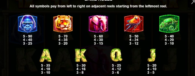 กฎระเบียบเกม PP SLOTJungle Gorilla
