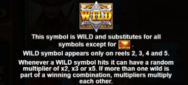 ฟีเจอร์พิเศษของเกมสล็อต PP SLOT Wild West Gold