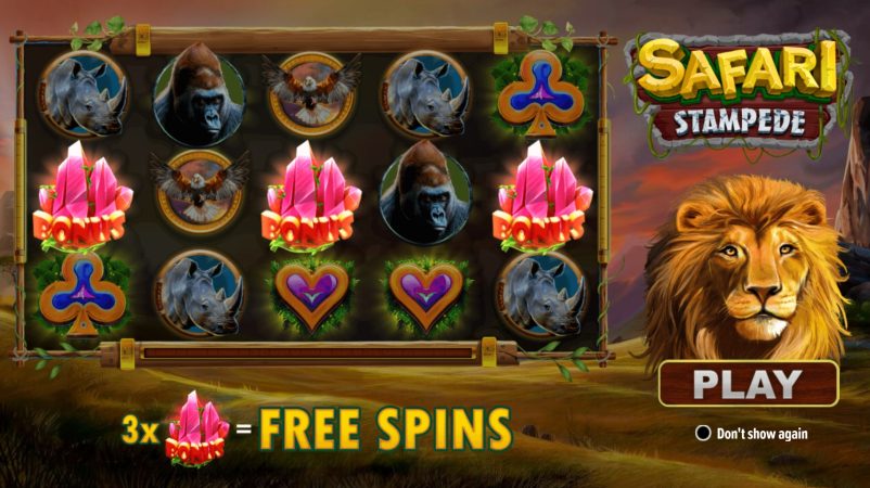 Safari Stampede Dragongaming pgslot-slot ทางเข้า
