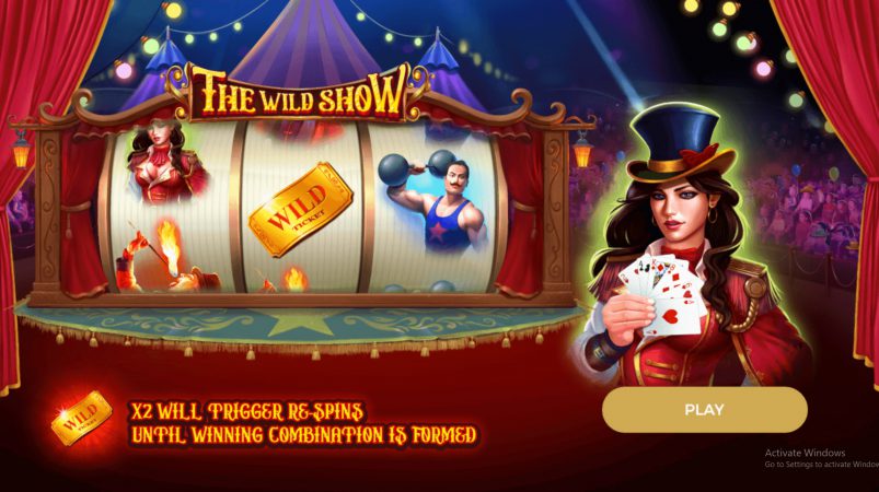 The Wild Show Dragon Gaming pgslot-slot ทางเข้า