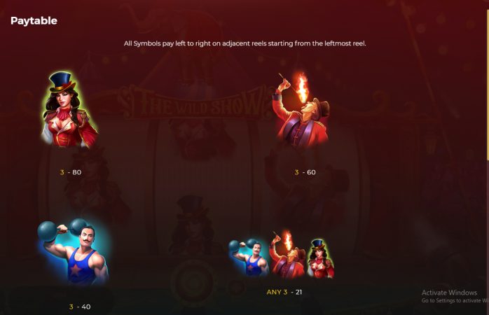 The Wild Show Dragon Gaming pgslot-slot ฝาก ถอน