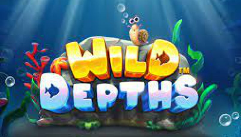 สรุปเกม สล็อต PP Wild Depths
